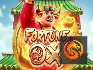 PXXBET login — painel de entrada no app oficial